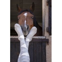 Chaussettes EQUITH?ME "Girly"