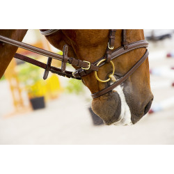 Filet 2 anneaux FEELING cyprium 2