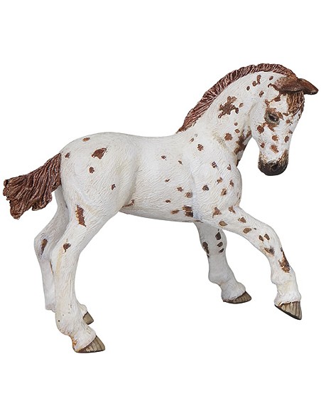 Poulain Appaloosa PAPO