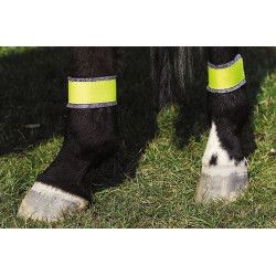 Bandages jaune NORTON pour post?rieurs