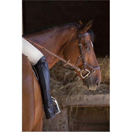 Mini-chaps EQUITH?ME "Premium"