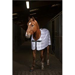 Chemise RIDING WORLD "Mesh"