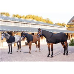 Protection d'?paules EQUITH?ME 2