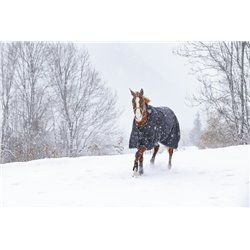 Couverture RIDING WORLD "Oxford" imperm?able, doubl?e polaire 2