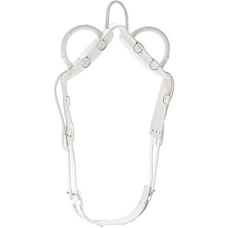 NORTON Voltigiergurt