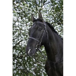 Bridon RIDING WORLD "Muserolle fran?aise" 2