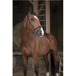 Bridon NORTON PRO "Fin" 2