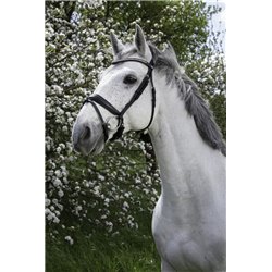 Bridon NORTON PRO "Strass"