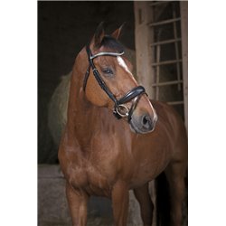 Bridon NORTON PRO "Strass" 2