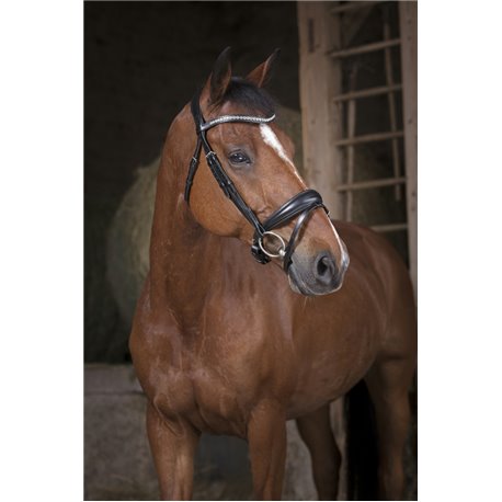 Bridon NORTON PRO "Strass"