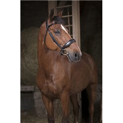 Bridon NORTON PRO "Confort" 2
