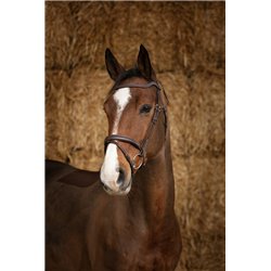 Bridon NORTON PRO "Perle" 2