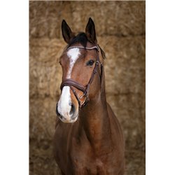 Bridon NORTON PRO "Miss"