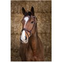 Bridon NORTON PRO "Miss"