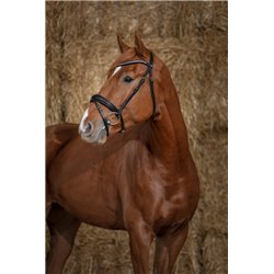 Bridon NORTON PRO "Diad?me" 2