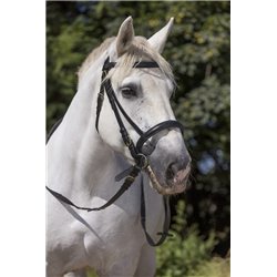 Bridon cheval de trait