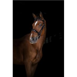 Bride ERIC THOMAS ELITE