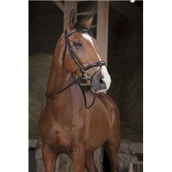 R?nes NORTON PRO "Supergrip"