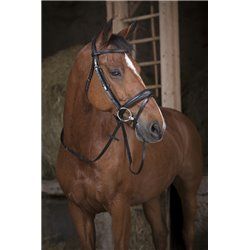 R?nes sangle NORTON PRO 2