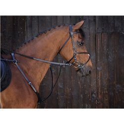 Martingale ?? anneaux RIDING WORLD 2