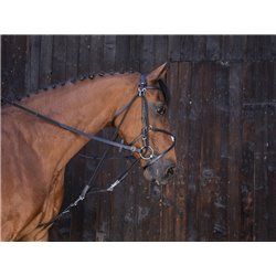 Gogue ?? poulies RIDING WORLD