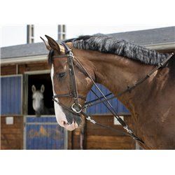 Gogue ?? poulies RIDING WORLD 2