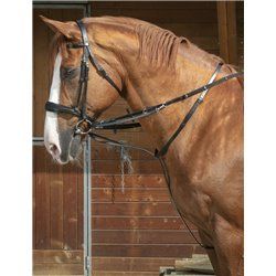 Enr?nement NORTON PRO "Thiedeman"