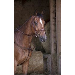 Collier de chasse ?lastique NORTON PRO 2