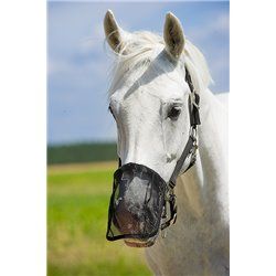 Prot?ge naseaux mesh anti-mouches 2