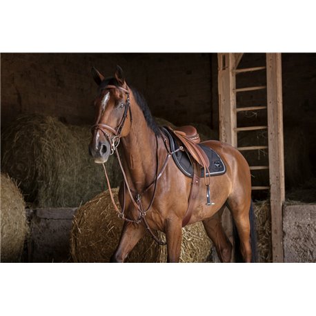 Sangle combin?e ERIC THOMAS HYBRID