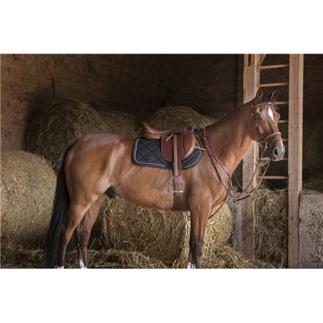 Sangle combin?e ERIC THOMAS HYBRID