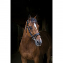BRIDON ERIC THOMAS PRO "STRASS"