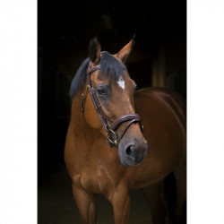 BRIDON ERIC THOMAS PRO "WAVE" 2