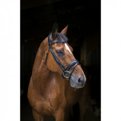 BRIDON ERIC THOMAS PRO "WAVE"