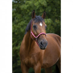 Licol NORTON nylon, doubl? n?opr?ne 2