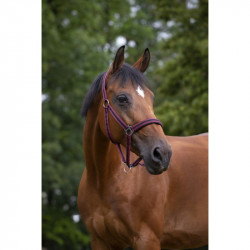 Licol NORTON nylon, doubl? n?opr?ne 2