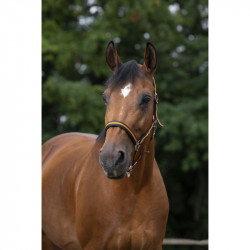 Licol NORTON nylon, doubl? n?opr?ne