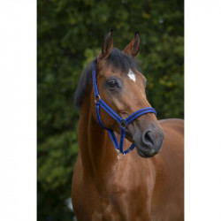 Licol NORTON nylon, doubl? n?opr?ne 2