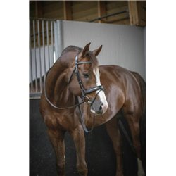 Bridon PENELOPE "Daily"