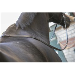 R?nes PENELOPE sangle "Daily"