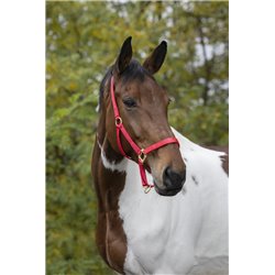 Licol EQUITH?ME ?Nylon? 2