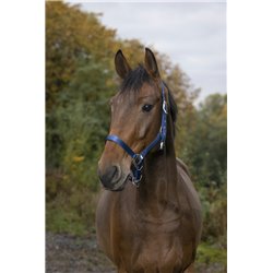 Licol EQUITH?ME ?Nylon? 2