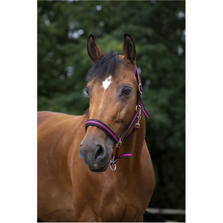 Licol NORTON nylon, doubl? n?opr?ne