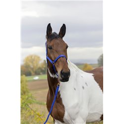 Licol + longe NORTON "Rose gold"