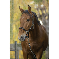 Licol + longe EQUITH?ME "Tress?" 2