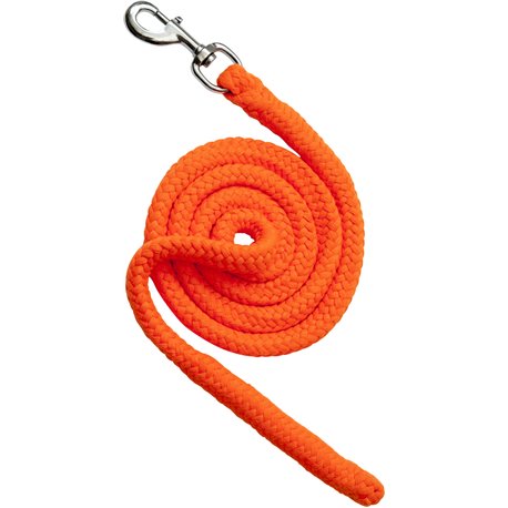 Longe d'attache NORTON "N?on"