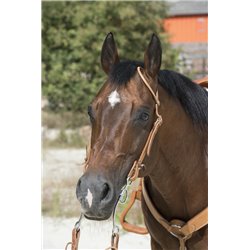 Bridon WESTRIDE by Franck Perret "1 oreille"