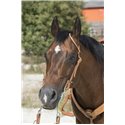 Bridon WESTRIDE by Franck Perret "1 oreille"