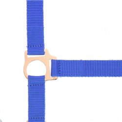 Licol + longe NORTON "Rose gold" 2