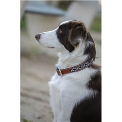 Collier pour chien P?n?lope "Pearl"